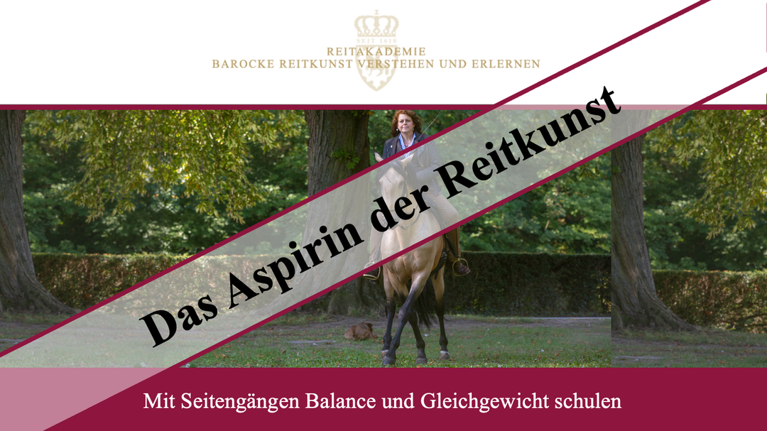 Balance und Gleichgewicht schulen