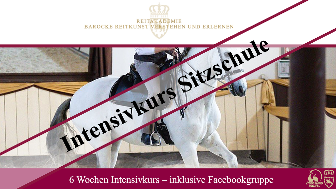Intensivkurs Sitzschule