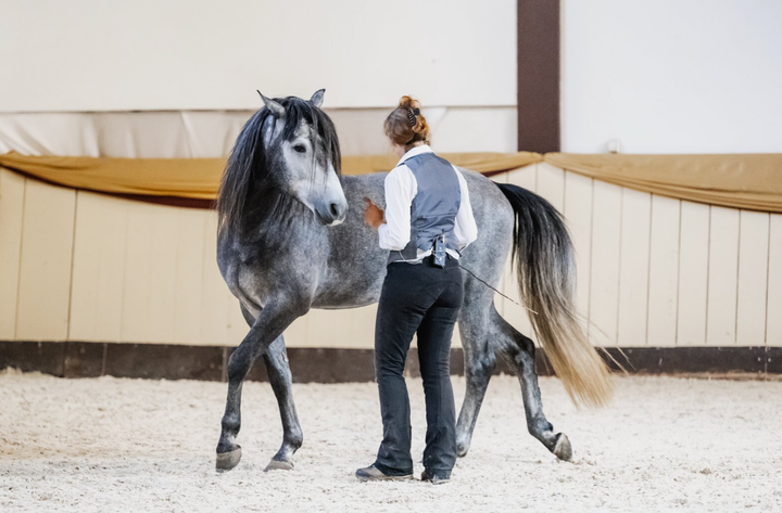 Freiarbeit als Beziehungsarbeit