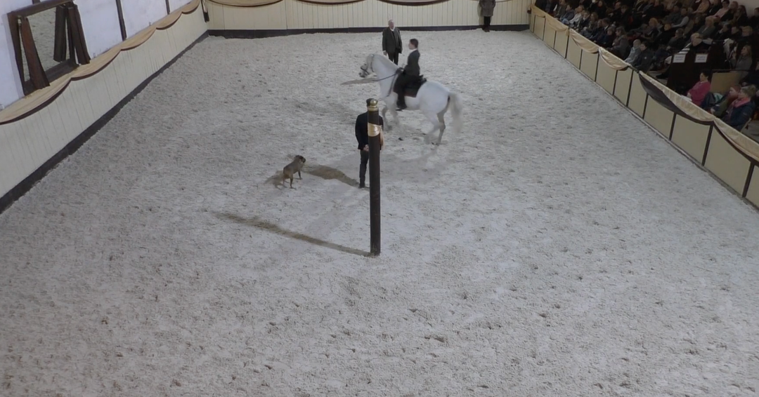 Wege aus der Trageerschöpfung