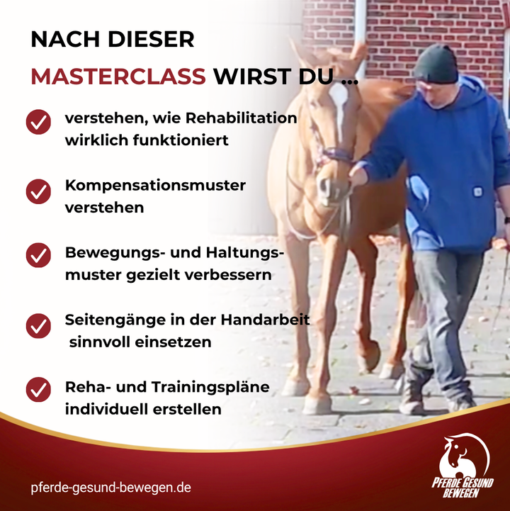 Masterclass Pferde Rehabilitation in der Handarbeit