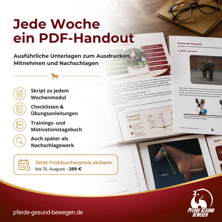 Masterclass Pferde Rehabilitation in der Handarbeit