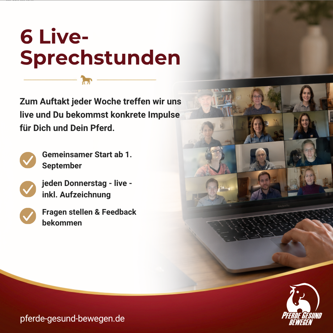 Masterclass Pferde Rehabilitation in der Handarbeit