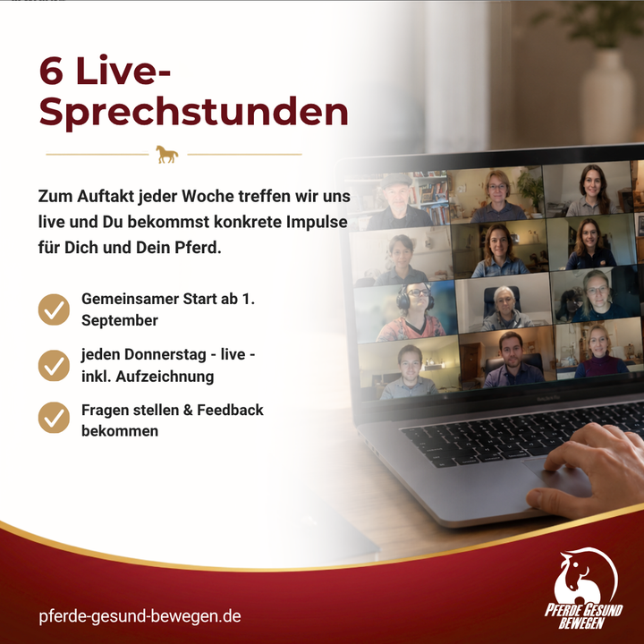Masterclass Pferde Rehabilitation in der Handarbeit