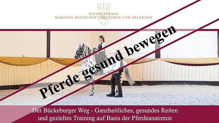 Pferde gesund bewegen - Der Bückeburger Weg