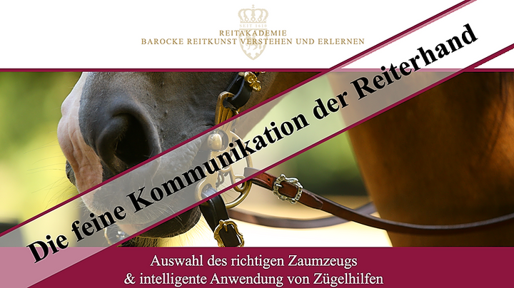 Die Feine Kommunikation der Reiterhand