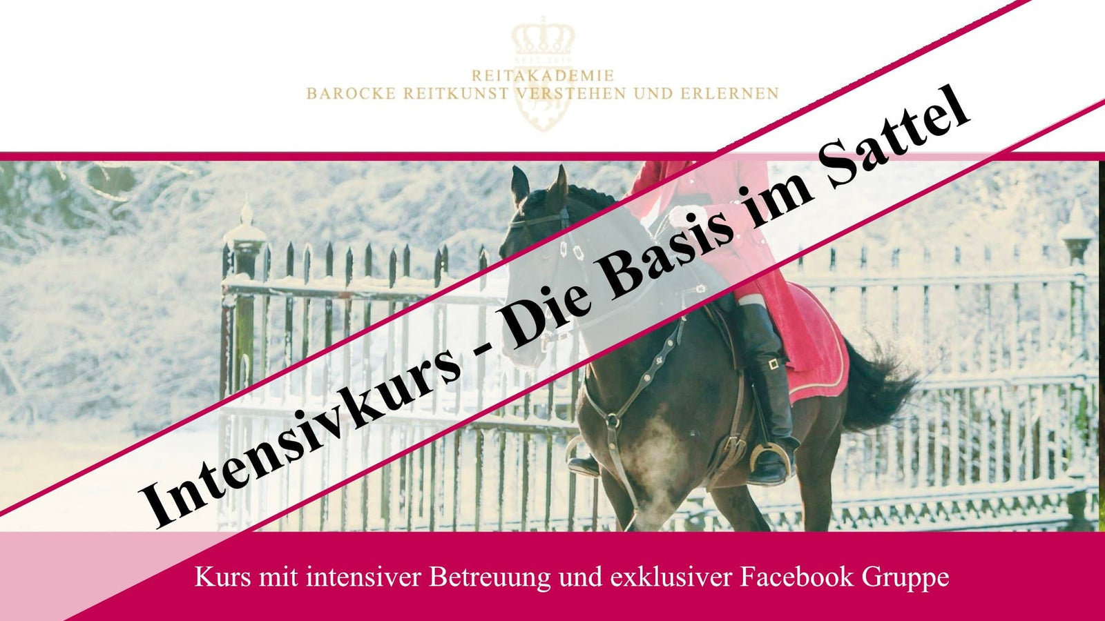 Intensivkurs - Die Basis im Sattel