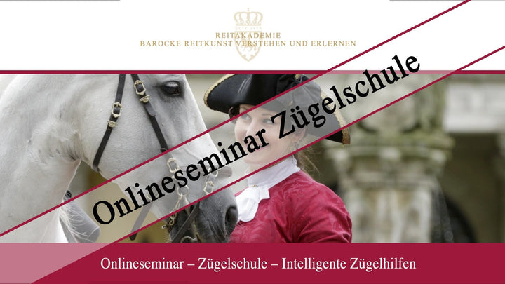 Zügelschule