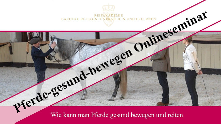 Pferde gesund bewegen